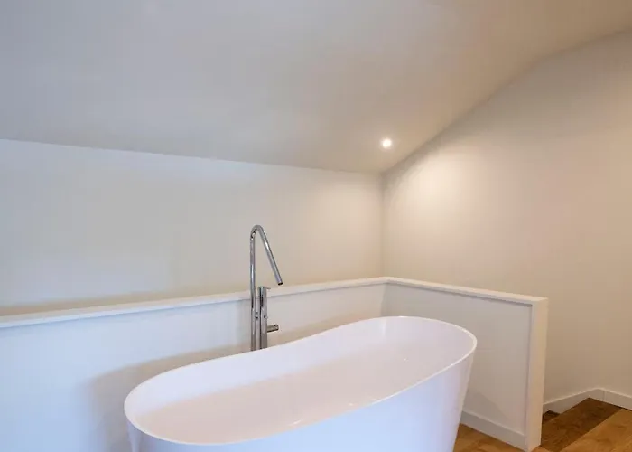 Lavandeira 波尔图