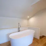 Lavandeira Oporto